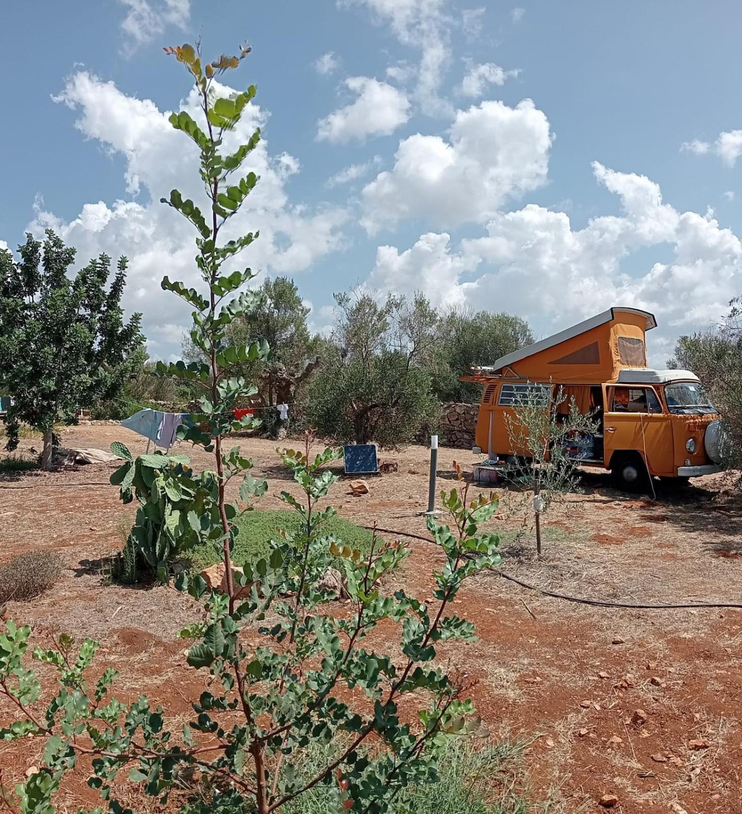 Macaria Agricampeggio Alliste Kültér fotó